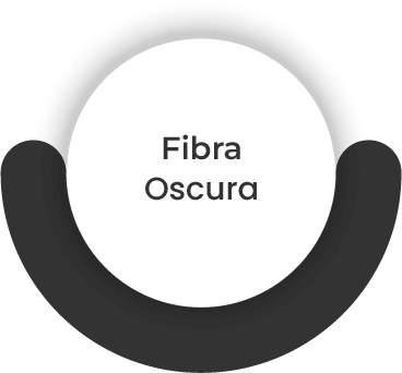 fibra oscura