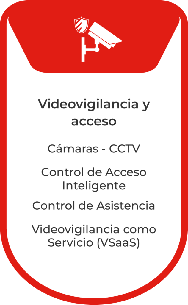 videovigilancia y acceso